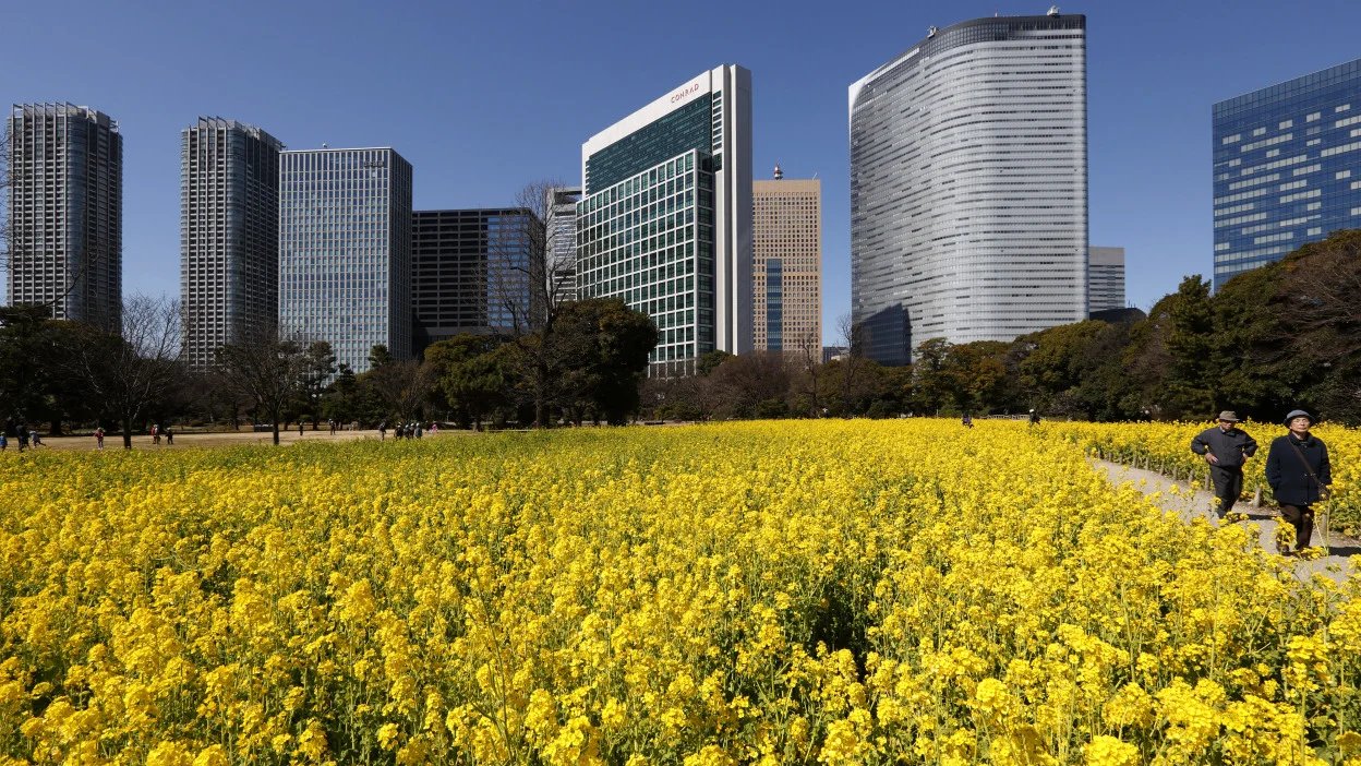 🌳 하마리큐 은사 정원(하마리큐 온시 테이엔) 이미지 4